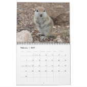 Rond rondzeekhoornrooster kalender (Feb 2027)