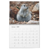 Rond rondzeekhoornrooster kalender (Jan 2027)