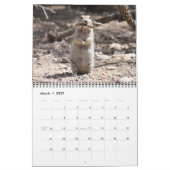 Rond rondzeekhoornrooster kalender (Mar 2027)