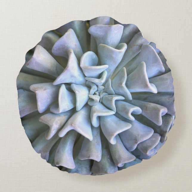 Rond Succulent Sierkussen Rond Kussen (Achterkant)