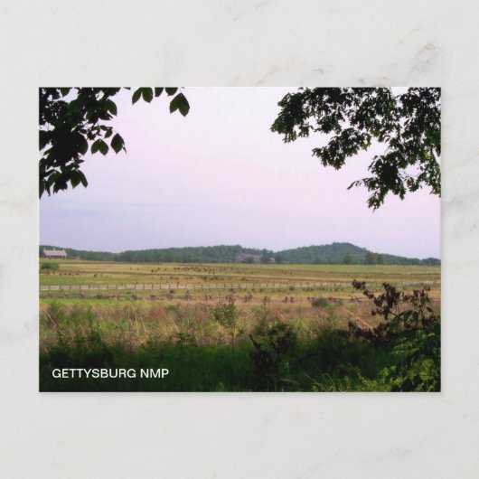 ROND TOPJES EN CODORI BARN BRIEFKAART (Voorkant)