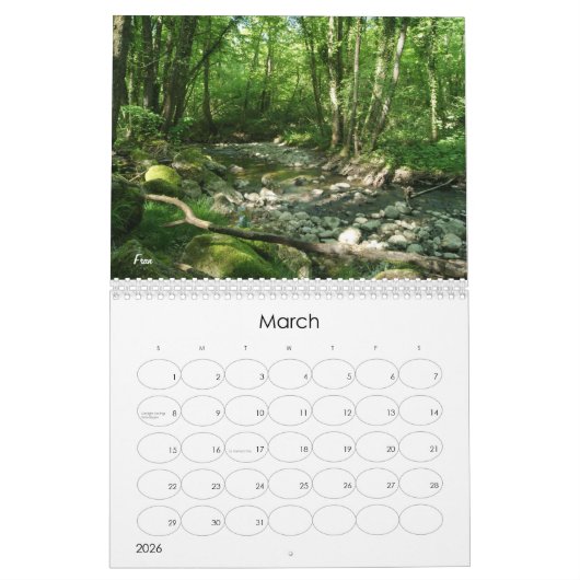 rond Zwitserland in 2020 Kalender (Mar 2026)