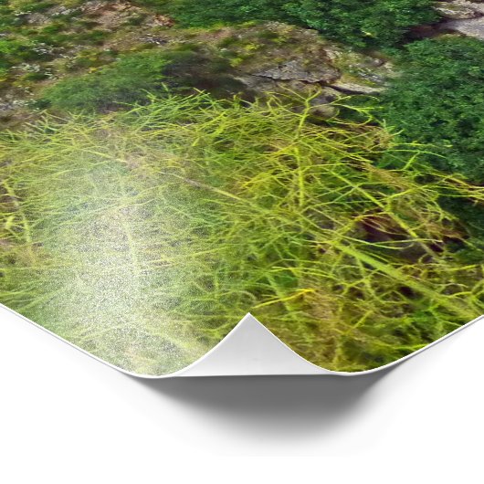 Ronda Gorge, Spanje Foto Afdruk (Hoek)