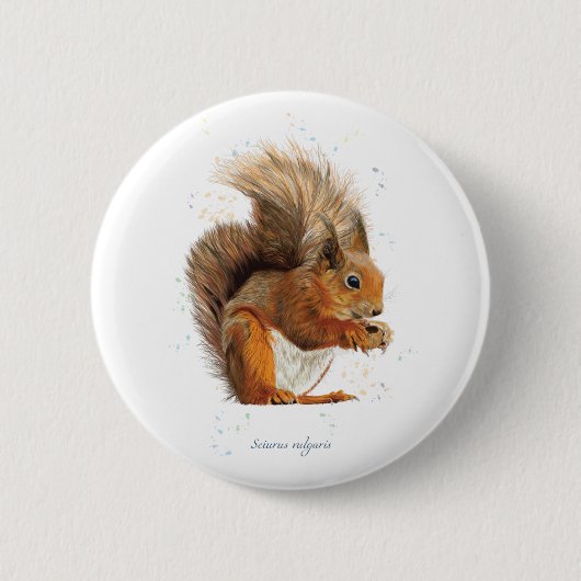 Ronde 6 cm badge met de rode eekhoorn ronde button 5,7 cm (Voorkant)