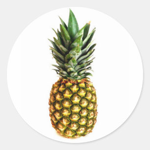 Ronde ananas stickers