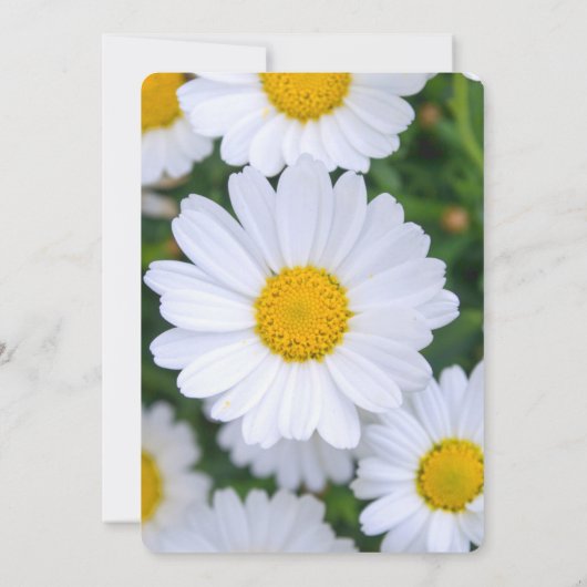 Ronde bloemige bruidsuitnodigingen met madeliefje kaart (Achterkant)