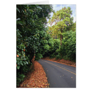 Ronde, bovenste schijf