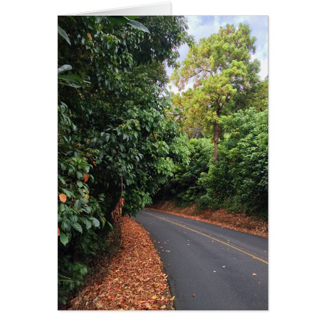 Ronde, bovenste schijf (Voorkant)