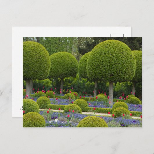 Ronde Briefkaart (Voorkant / Achterkant)