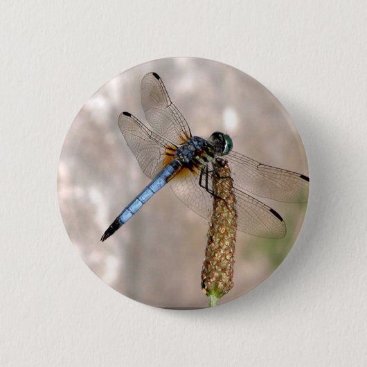 Ronde Button (Voorkant)