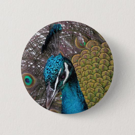 Ronde Button (Voorkant)