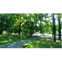 Ronde Button, grote, 4 inch