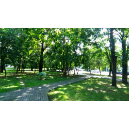 Ronde Button, grote, 4 inch Button 4,0 Cm