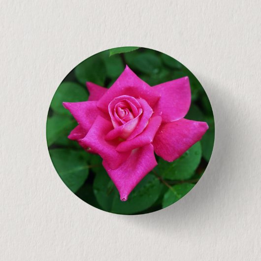 Ronde Button voor éénroze roze roze roze (Voorkant)