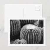 Ronde Cacti-Briefkaart Briefkaart (Voorkant / Achterkant)