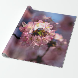 Ronde cluster van Sakura-bloemen Cadeaupapier