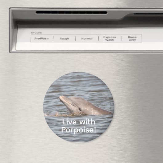 ronde dolfijnmagneet magneet (Insitu (Vaatwasser))