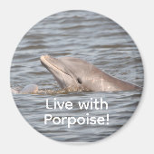 ronde dolfijnmagneet magneet (Voorkant)