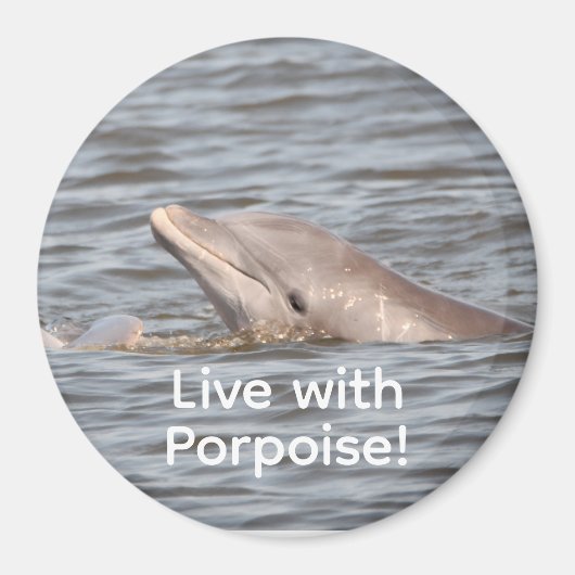 ronde dolfijnmagneet magneet (Voorkant)