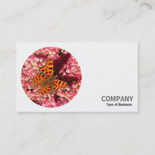Ronde foto - Comma Butterfly op Sedum Visitekaartje