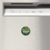 Ronde foto maget magneet (Insitu (Vaatwasser))