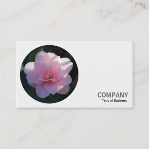 Ronde foto - Roze Camellia Visitekaartje