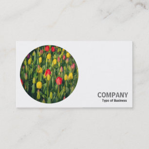 Ronde foto - Tulpen Visitekaartje