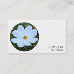 Ronde foto - White Cosmos Visitekaartje