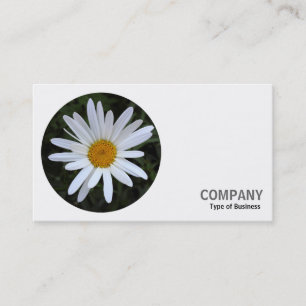 Ronde foto - White Daisy 03 Visitekaartje