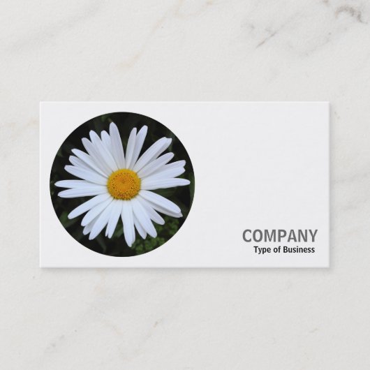 Ronde foto - Witte Daisy 04 Visitekaartje (Voorkant)