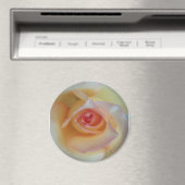 Ronde fotomagneet magneet (Insitu (Vaatwasser))