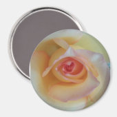 Ronde fotomagneet magneet (Voorkant / Achterkant)