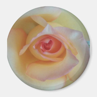 Ronde fotomagneet magneet