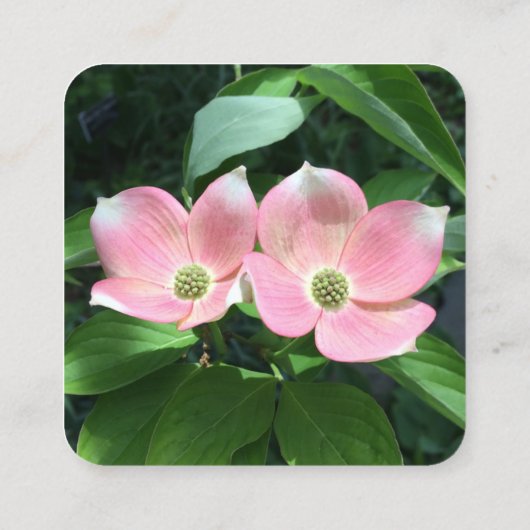 Ronde hoeken met Logo & Photo Modern Vierkante Visitekaartje (Achterkant)