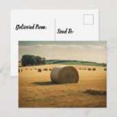 Ronde hooibaal in veld overdag briefkaart (Voorkant / Achterkant)