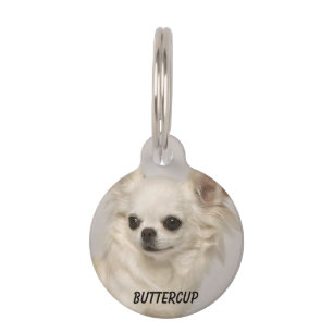 Ronde kleine huisdierhalsband Chihuahua Met Foto Huisdierpenning