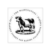 Ronde  Koe Familienaam Retouradres Rubberstempel (Afrduk)