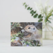 Ronde lantaarnvierkant die de bloemen smelt briefkaart (Staand voorkant)