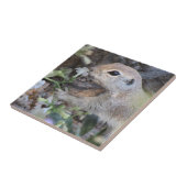 Ronde lantaarnvierkant die de bloemen smelt tegeltje (Zijkant)