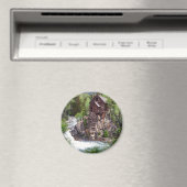 Ronde magneet (Insitu (Vaatwasser))