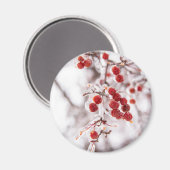 Ronde magneet (Voorkant / Achterkant)