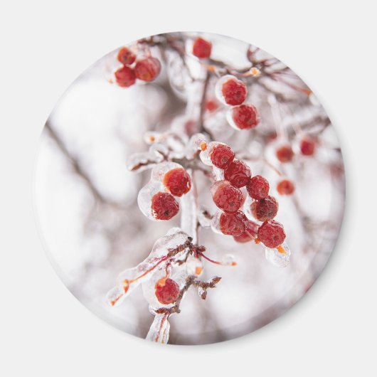 Ronde magneet (Voorkant)