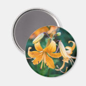 Ronde magneet (Voorkant / Achterkant)