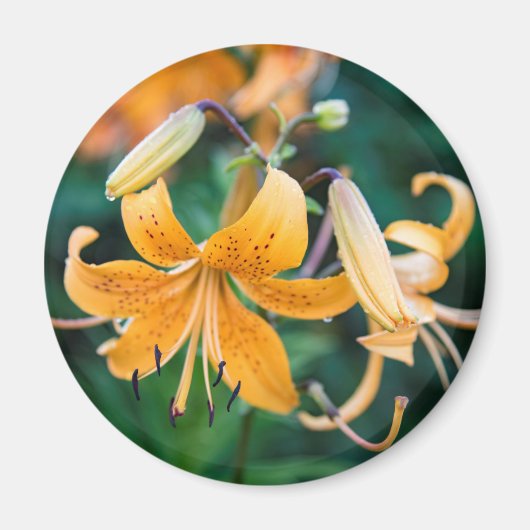 Ronde magneet (Voorkant)