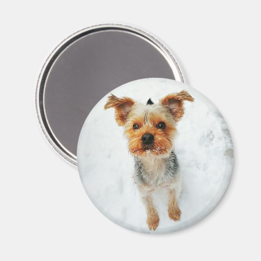 Ronde magneet (Voorkant / Achterkant)