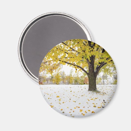 Ronde magneet (Voorkant / Achterkant)