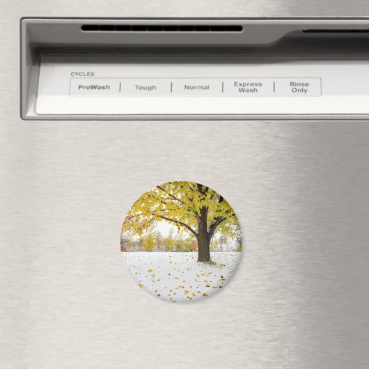 Ronde magneet (Insitu (Vaatwasser))