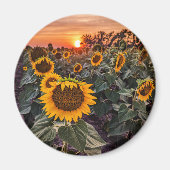 Ronde magneet (Voorkant)