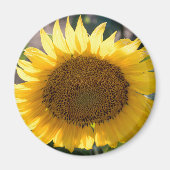 Ronde magneet (Voorkant)