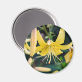 Ronde magneet (Voorkant / Achterkant)